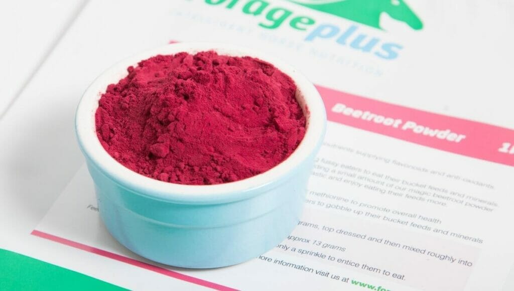 A close up of powdered beetroot for horses