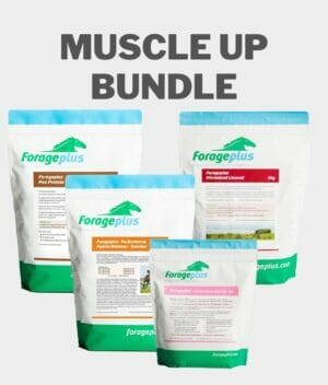 A collection of muscle support horse feed products