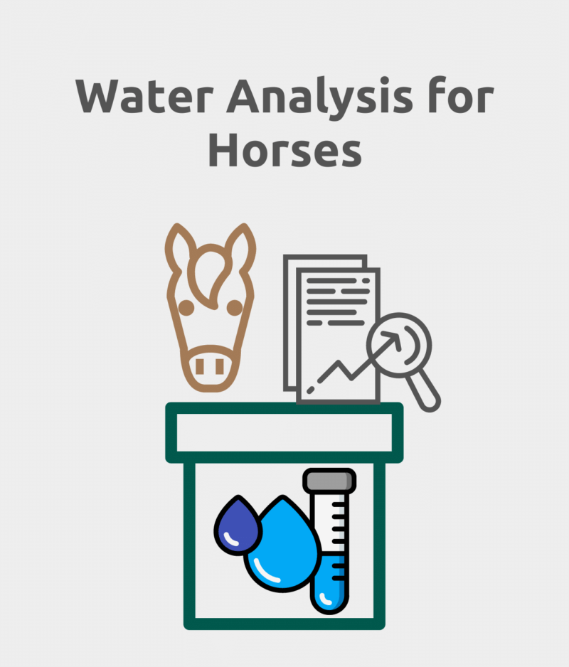 water analysis for horses