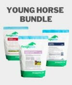 A collection of young horse bundled products