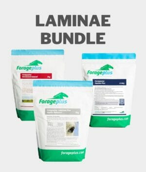 Laminitis Horse Feed Bundle