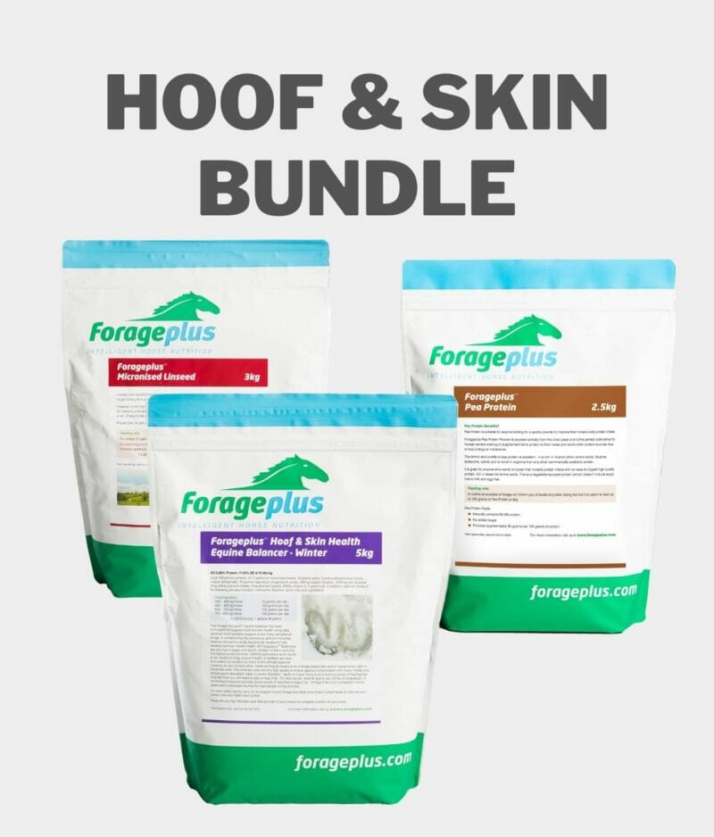 Hoof & Skin Health bundled products