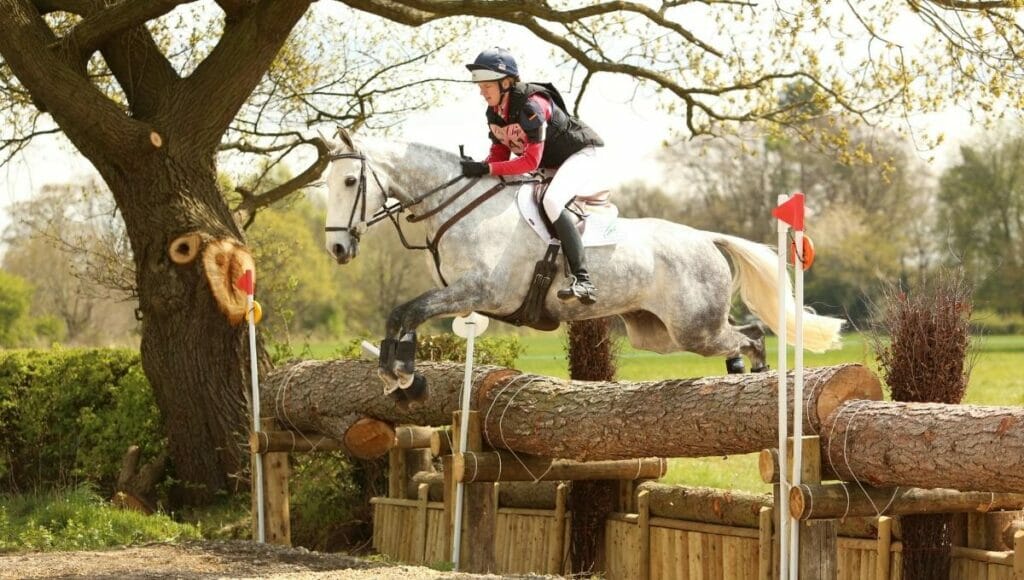 A performance horse jumping