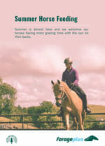 Summer Horse Feeding eBook