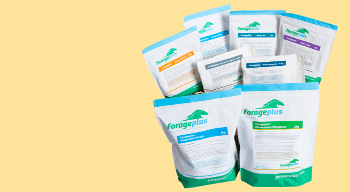group of horse feed supplements