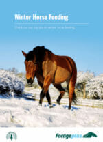 Winter Horse Feeding - eBook