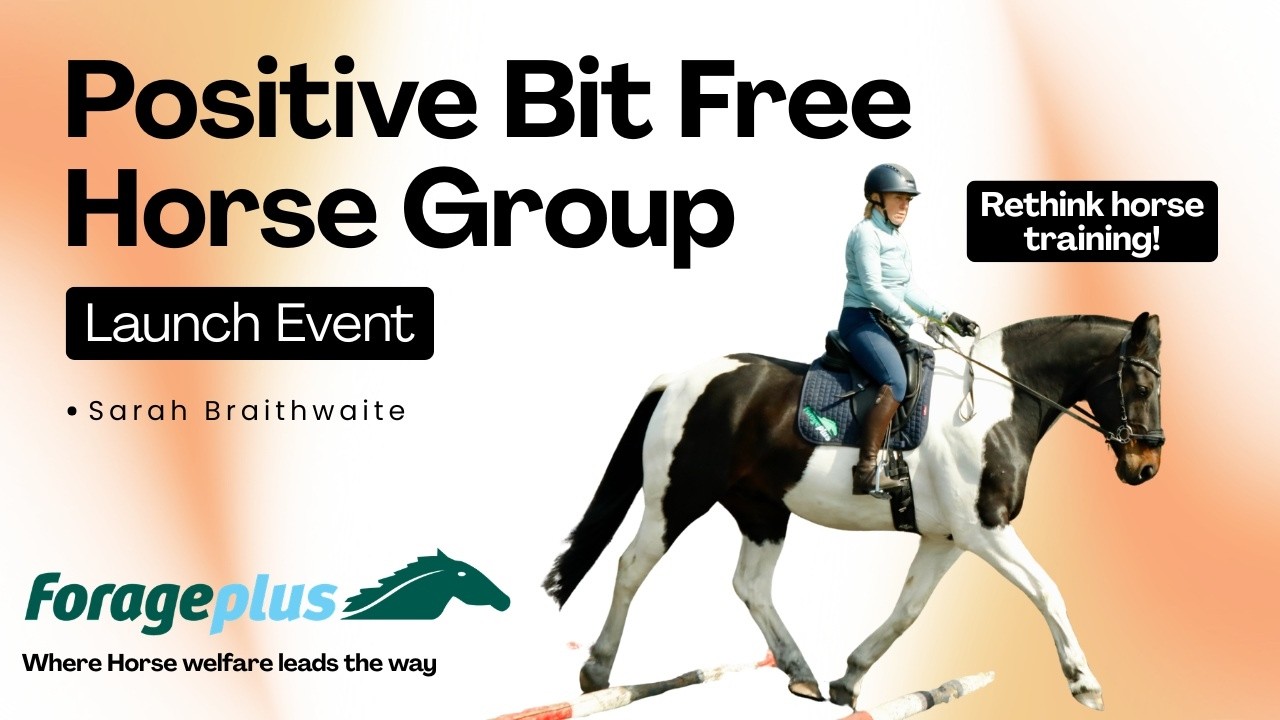 Positive Bit Free Horse Group - Launch Event with Sarah Braithwaite