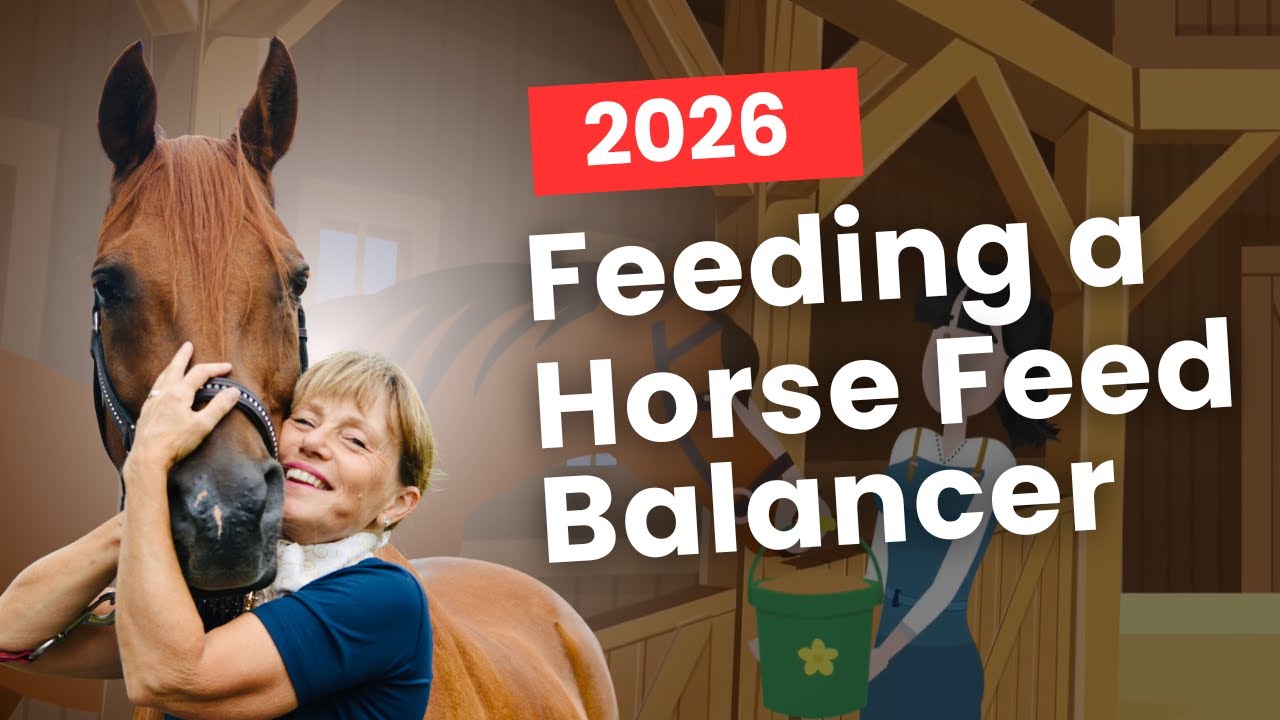 Feeding minerals for horses