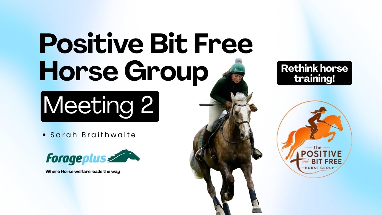 Positive and Bit Free Horse Group: Putting It Into Practice