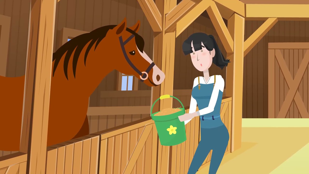 How to Feed our Horse Feed Balancers