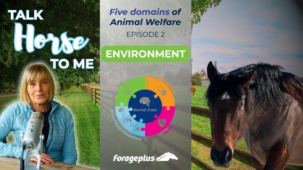 The Five Domains of Horse Welfare – Environment | Talk Horse To Me Podcast