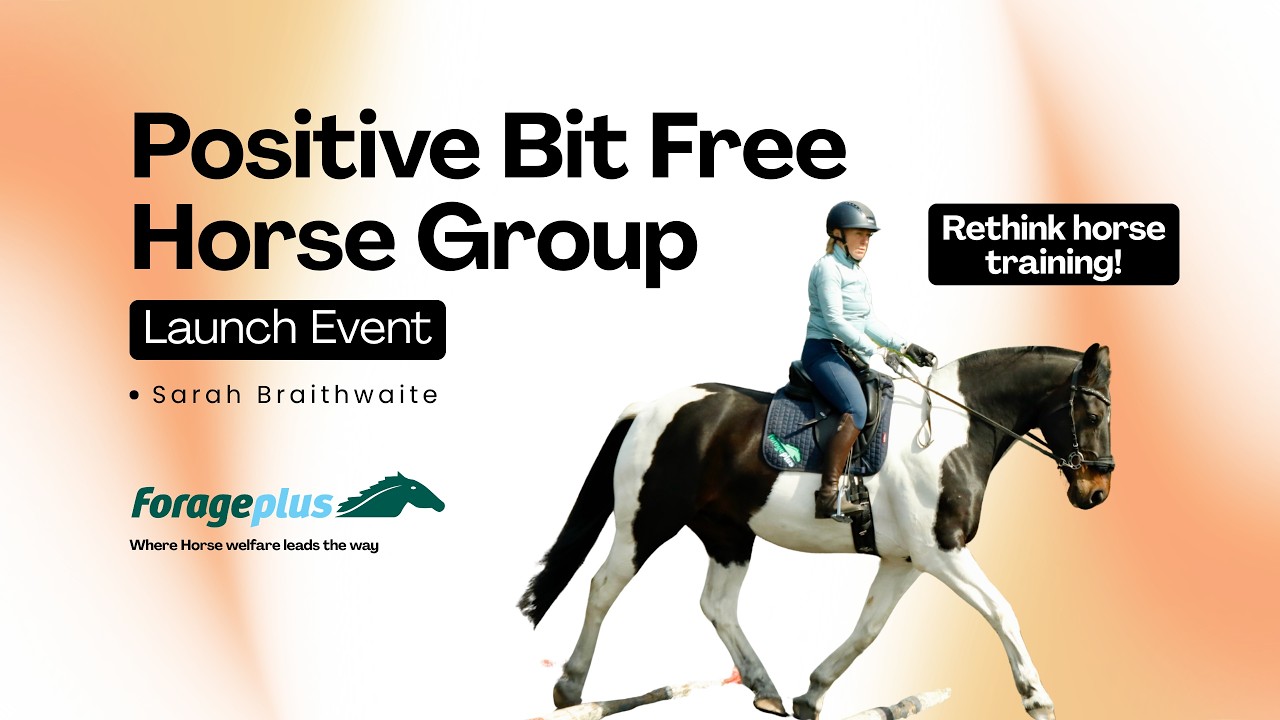 Positive and Bit Free Horse Group: The Launch Event