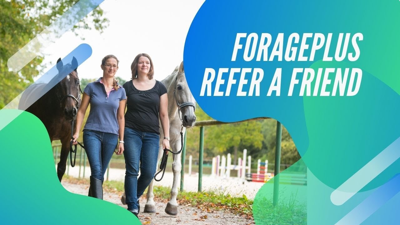 Refer a Friend and Save on Horse Feed from Forageplus