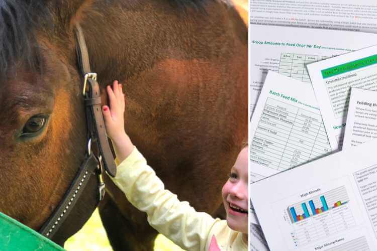 Feed Plans for Horses Forageplus