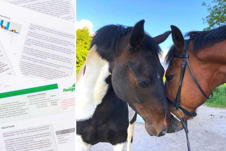 Horse feed plans using analysis of grass hay or haylage Forageplus