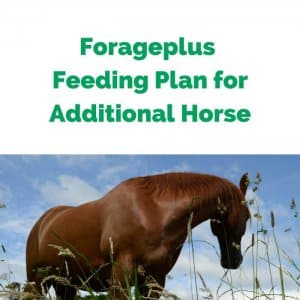 Forageplus-Feeding-Plan-for-Additional-Horse.jpg