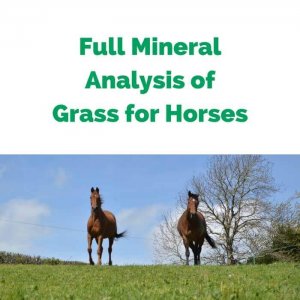 Forageplus-Full-Mineral-Analysis-of-Grass-for-Horses.jpg