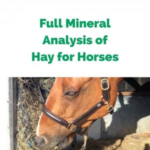 Forageplus-Full-Mineral-Analysis-of-Hay-for-Horses.jpg