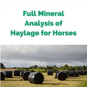 Forageplus-Full-Mineral-Analysis-of-Haylage-for-Horses.jpg