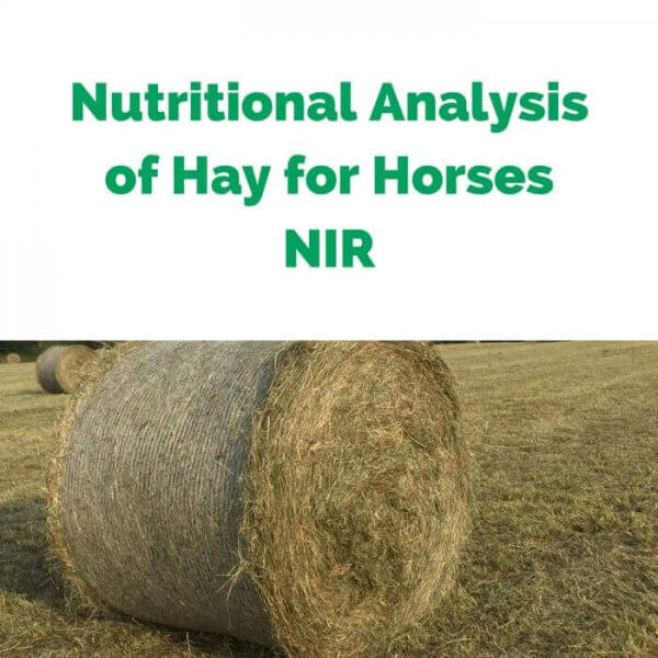 Nutritional-Analysis-of-Hay-for-Horses-NIR.jpg
