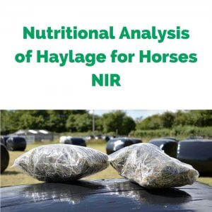 Nutritional-Analysis-of-Haylage-for-Horses-NIR.jpg