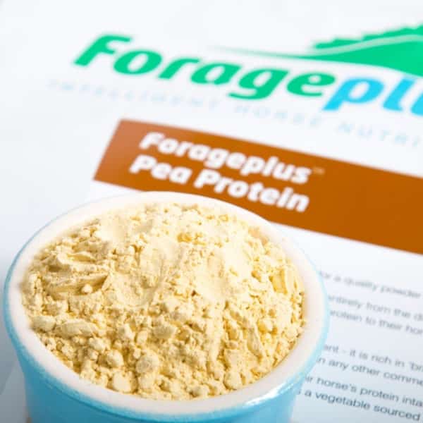 Pea protein product close up