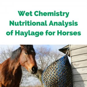 Wet Chemistry Nutrittional Analysis of Haylage for Horses
