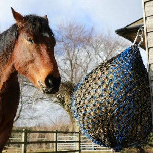 Small Holed Horse Hay Net