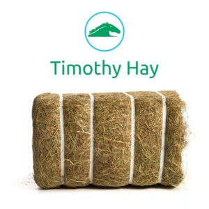 Bale of Timothy Hay from 30 Bale Timothy Pallet
