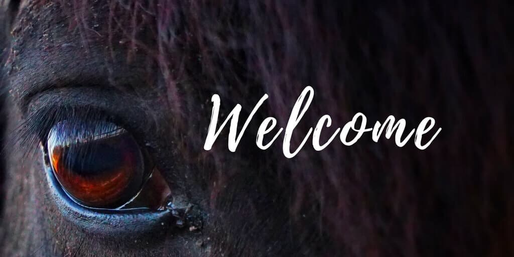 Welcome to the Forageplus Horse Health Community