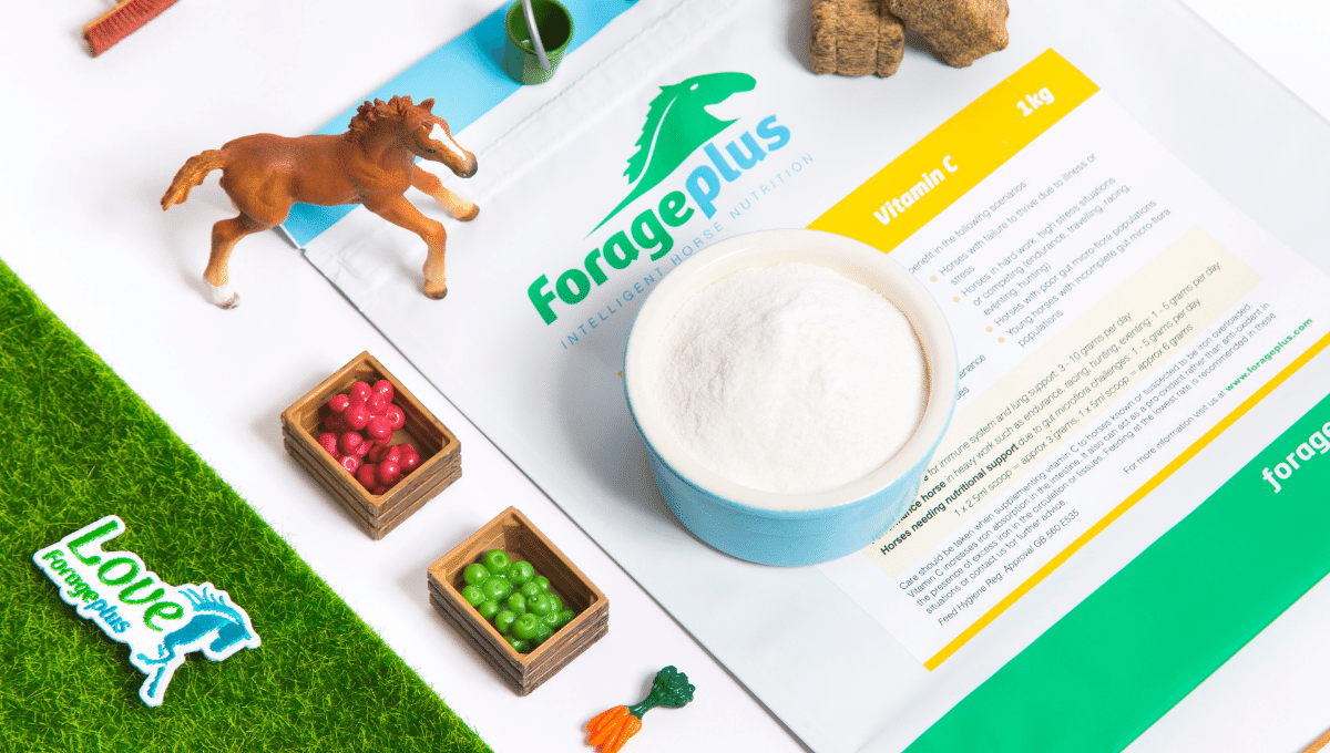 What Vitamins Do Horses Need? Forageplus