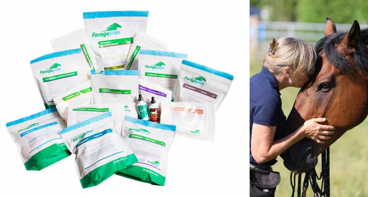 Immune Support for Horses from Forageplus