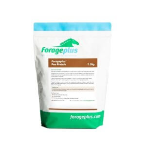 Organic Pea Protein for Horses