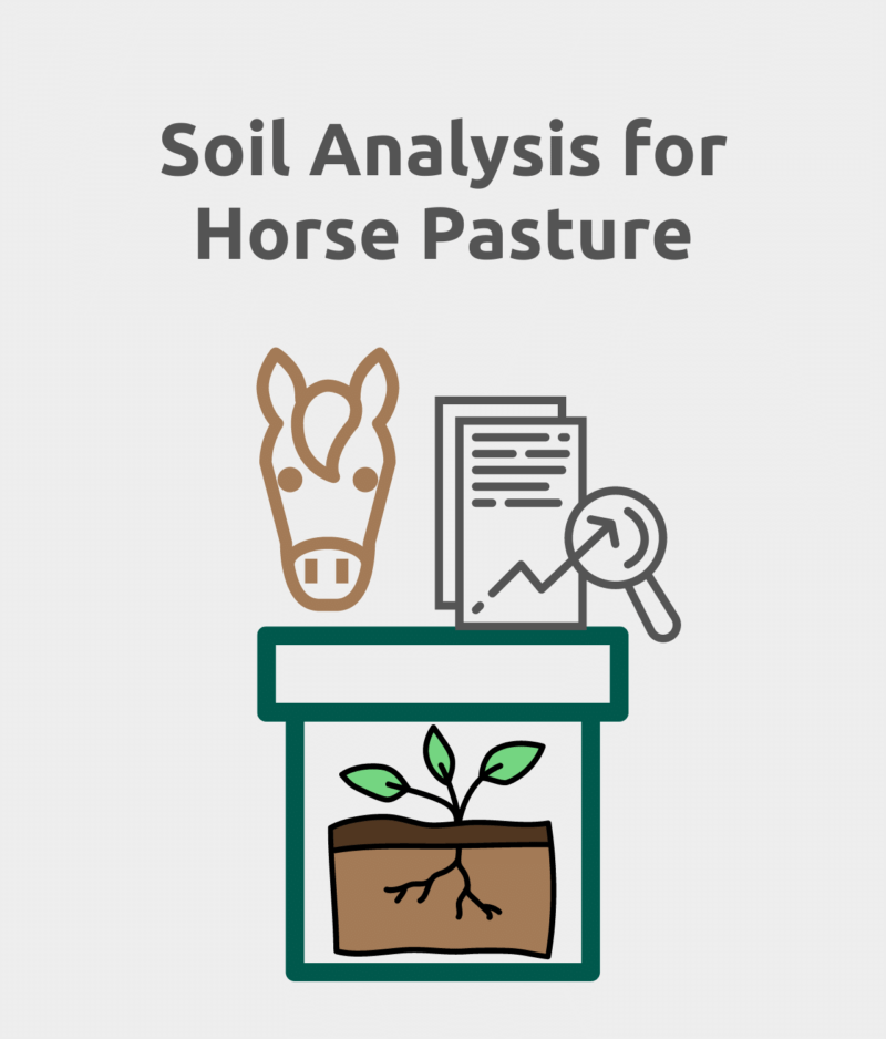 Soil Analysis for Horses