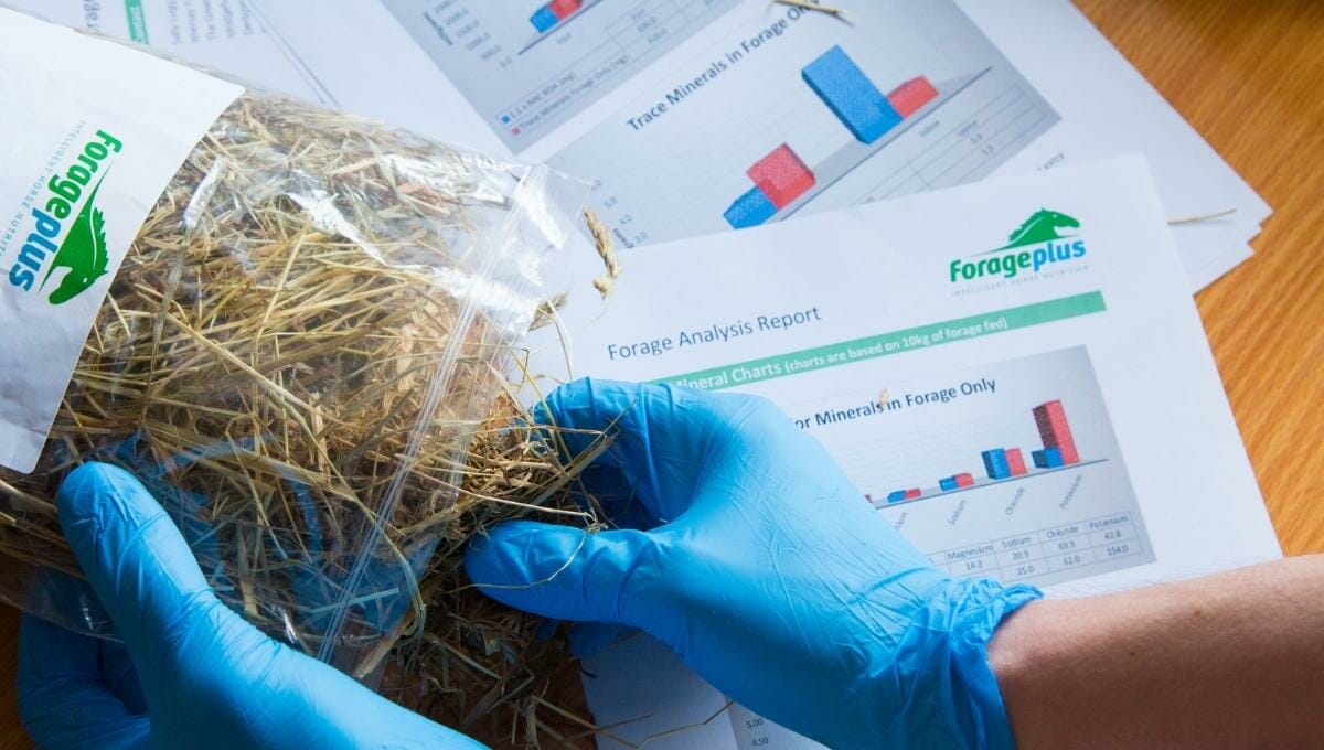 A Forageplus employee handling a forage analysis sample