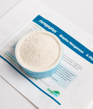 A close up of bioplex manganese for horses.