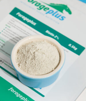 A close up image of biotin for horses in a blue pot