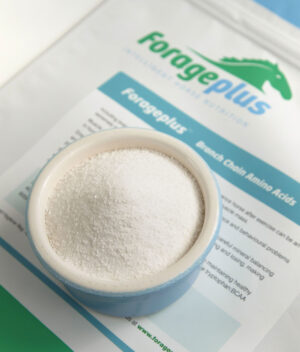 A close up pot shot of Forageplus branch chain amino acids for horses