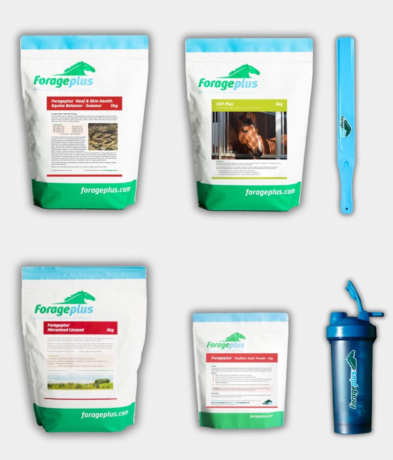 A collection of Forageplus digestive health supplements with a blue feed stirrer and shaker bottle on a grey background.