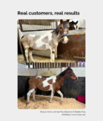 A customer testimonial showing the before and after images from using our Laminae Plus Balancer.