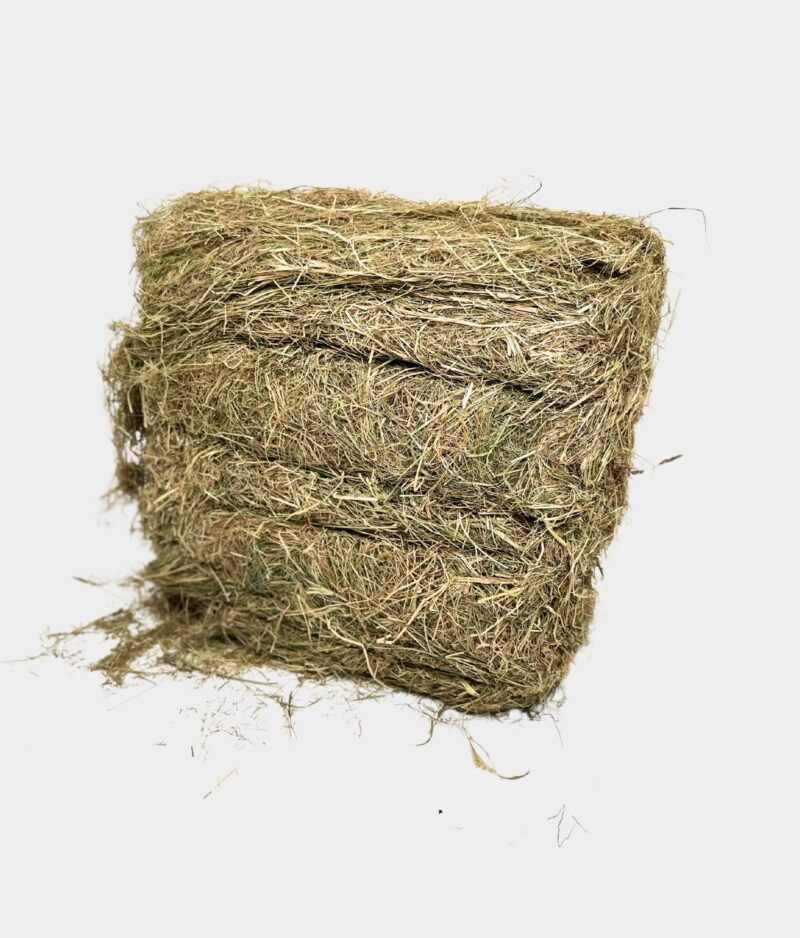 A bale of Forageplus Meadow Hay with a grey background.