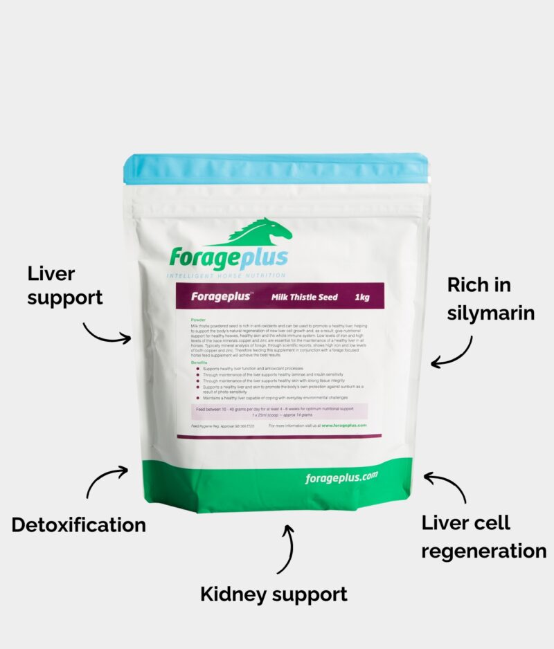 A 1kg pouch of Forageplus Milk Thistle seed powder for horses, along with listed potential benefits.