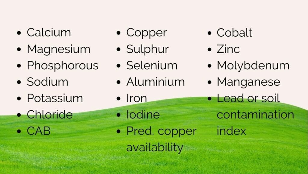A list of the minerals tested in the grass analysis for horses