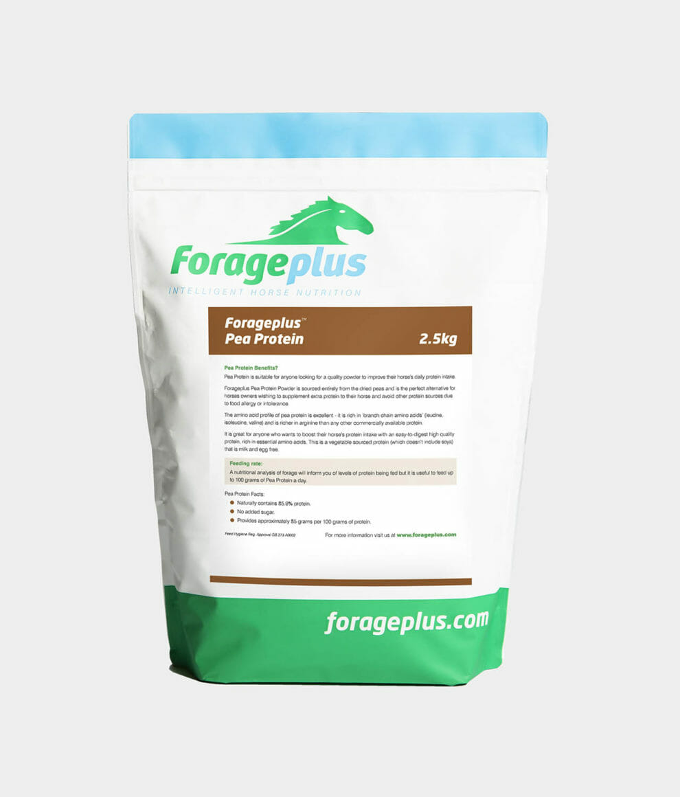 Organic Whey Protein For Horses GrassFed