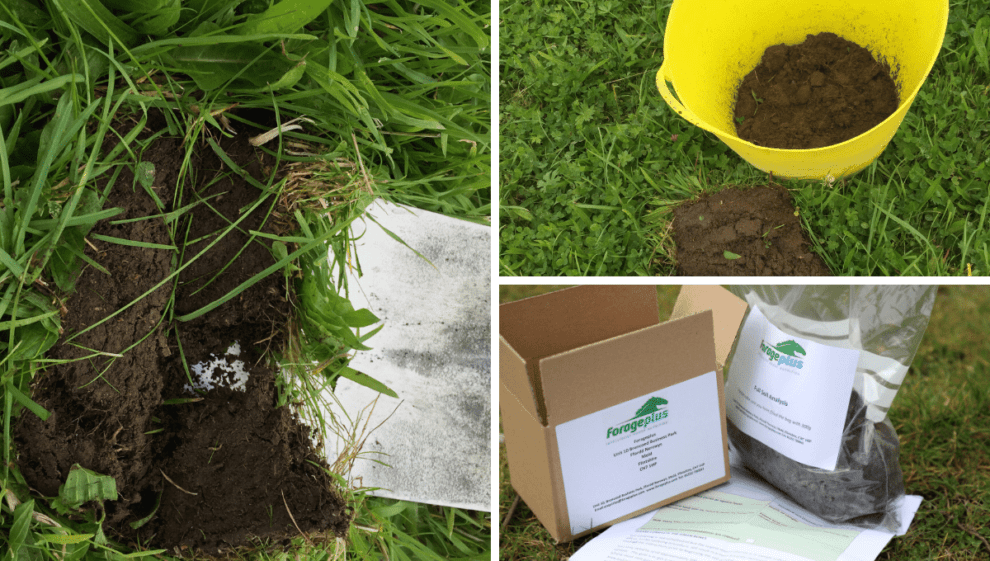 Pasture Sampling Taking Effective Soil Samples | Forageplus