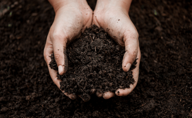 Soil analysis for horses