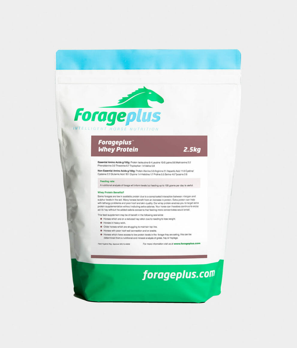 Organic Whey Protein For Horses GrassFed