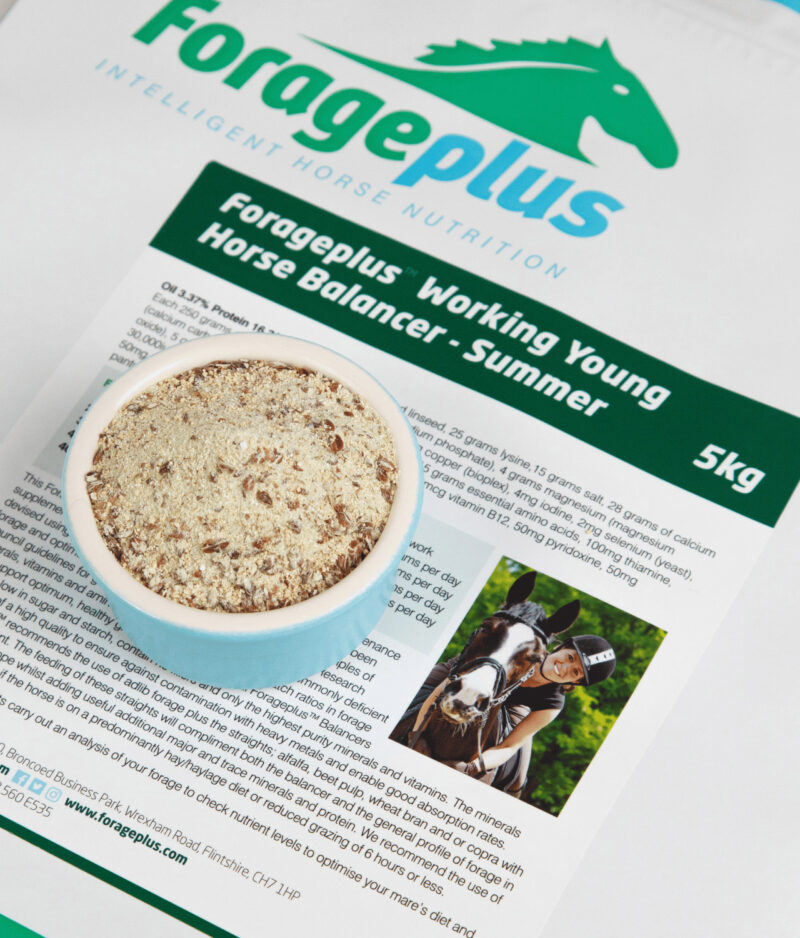 A pot-shot image of the Forageplus Working Young Horse Summer horse feed balancer.