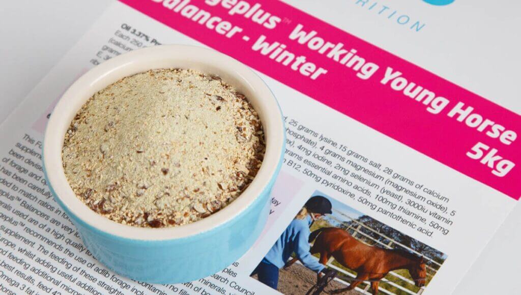 A close up pot-shot of our working young horse winter balancer.