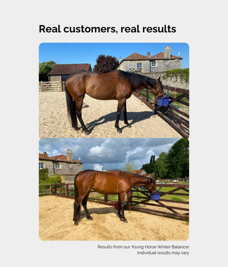 A customer testimonial showing the before and after images from using our Young Horse Balancer.